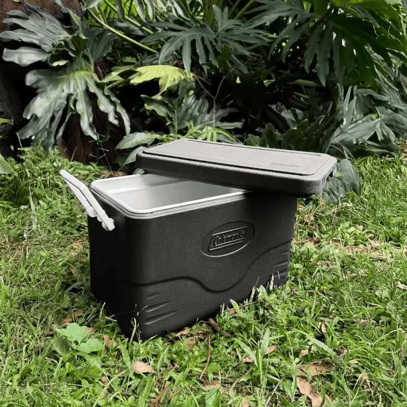 Caixa Térmica 26,5L Personal All Black Coleman